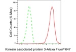 KAP3 Antibody in Flow Cytometry (Flow)