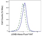 JunB Antibody in Flow Cytometry (Flow)