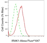 IRAK1 Antibody in Flow Cytometry (Flow)