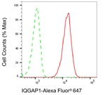 IQGAP1 Antibody in Flow Cytometry (Flow)