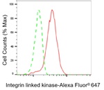 ILK Antibody in Flow Cytometry (Flow)