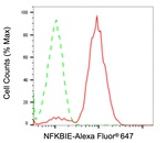 IkB epsilon Antibody in Flow Cytometry (Flow)
