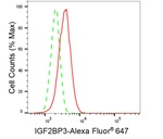 IGF2BP3 Antibody in Flow Cytometry (Flow)