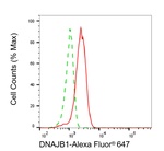 HSP40 Antibody in Flow Cytometry (Flow)