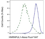 hnRNP UL1 Antibody in Flow Cytometry (Flow)