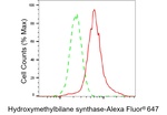 HMBS Antibody in Flow Cytometry (Flow)