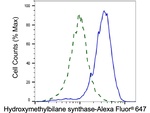 HMBS Antibody in Flow Cytometry (Flow)