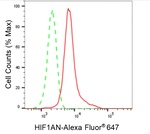 HIF1AN Antibody in Flow Cytometry (Flow)