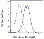 HIBCH Antibody in Flow Cytometry (Flow)