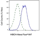 HIBCH Antibody in Flow Cytometry (Flow)