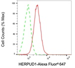 HERPUD1 Antibody in Flow Cytometry (Flow)