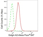 GM130 Antibody in Flow Cytometry (Flow)