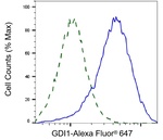 GDI1 Antibody in Flow Cytometry (Flow)