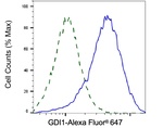 GDI1 Antibody in Flow Cytometry (Flow)