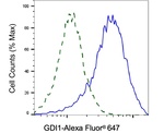GDI1 Antibody in Flow Cytometry (Flow)