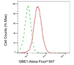 GBE1 Antibody in Flow Cytometry (Flow)