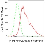 GBAS Antibody in Flow Cytometry (Flow)