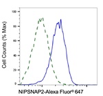 GBAS Antibody in Flow Cytometry (Flow)