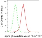 GAA Antibody in Flow Cytometry (Flow)