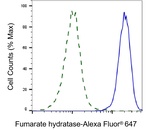 Fumarase Antibody in Flow Cytometry (Flow)