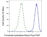 Fumarase Antibody in Flow Cytometry (Flow)