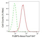 FUBP3 Antibody in Flow Cytometry (Flow)