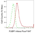 FUBP1 Antibody in Flow Cytometry (Flow)