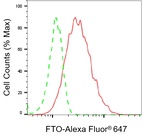 FTO Antibody in Flow Cytometry (Flow)