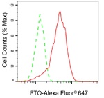 FTO Antibody in Flow Cytometry (Flow)