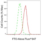 FTO Antibody in Flow Cytometry (Flow)