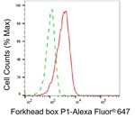 FOXP1 Antibody in Flow Cytometry (Flow)