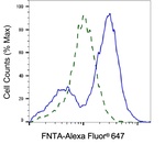 FNTA Antibody in Flow Cytometry (Flow)