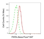 FNTA Antibody in Flow Cytometry (Flow)