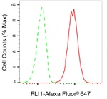 FLI1 Antibody in Flow Cytometry (Flow)