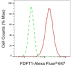 FDFT1 Antibody in Flow Cytometry (Flow)