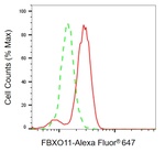 FBXO11 Antibody in Flow Cytometry (Flow)