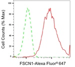 Fascin Antibody in Flow Cytometry (Flow)