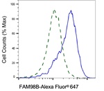 FAM98B Antibody in Flow Cytometry (Flow)