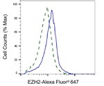 EZH2 Antibody in Flow Cytometry (Flow)