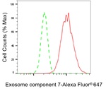 EXOSC7 Antibody in Flow Cytometry (Flow)