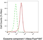 EXOSC1 Antibody in Flow Cytometry (Flow)
