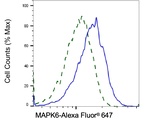 ERK3 Antibody in Flow Cytometry (Flow)