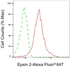 Epsin 2 Antibody in Flow Cytometry (Flow)