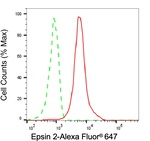 Epsin 2 Antibody in Flow Cytometry (Flow)