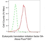 eIF5A Antibody in Flow Cytometry (Flow)