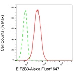 eIF2b gamma Antibody in Flow Cytometry (Flow)