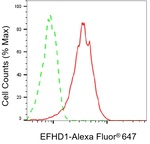 EFHD1 Antibody in Flow Cytometry (Flow)