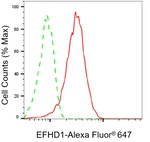 EFHD1 Antibody in Flow Cytometry (Flow)