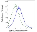 EEF1A2 Antibody in Flow Cytometry (Flow)