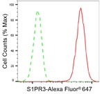 EDG3 Antibody in Flow Cytometry (Flow)
